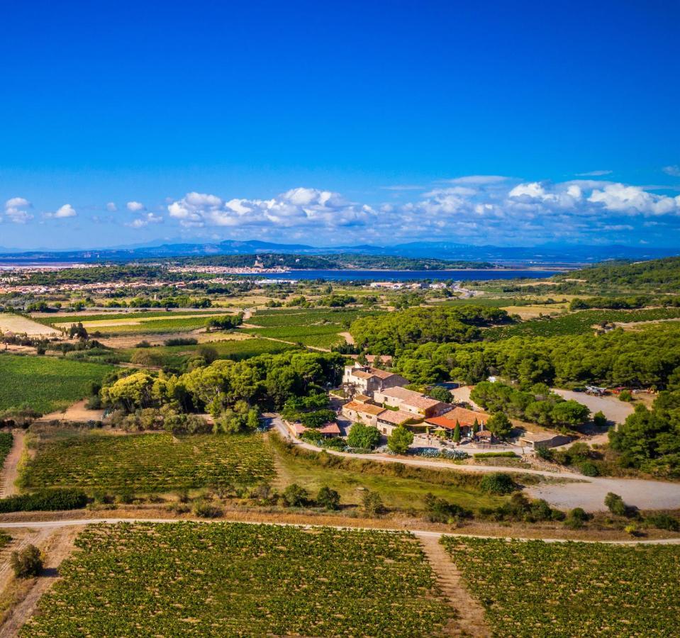 Chateau Le Bouis Gruissan Eksteriør billede